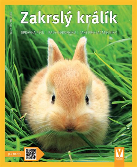 pohlav krlka|Zakrslý králík